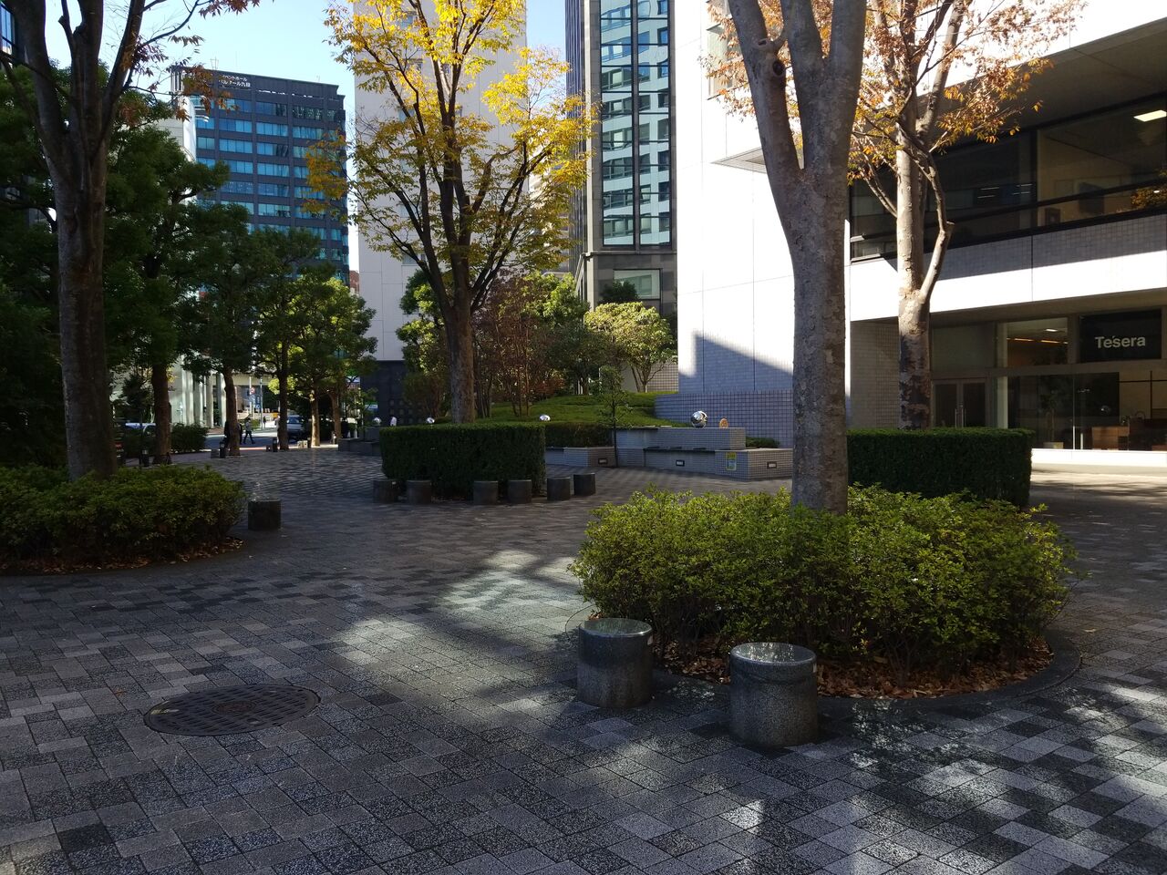 934. 西神田けやきの広場（東京都千代田区西神田三丁目） 東京公園行ってみる