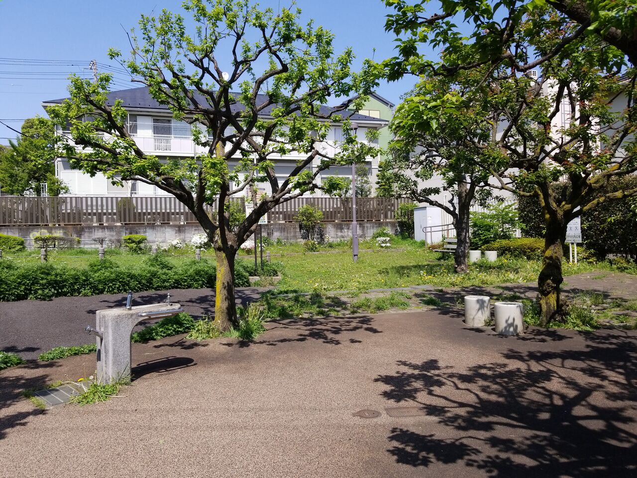 1420. 北沢やまもも広場(東京都世田谷区北沢四丁目) 東京公園行ってみる 1420. 北沢やまもも広場(東京都世田谷区北沢四丁目) 東京公園行ってみる