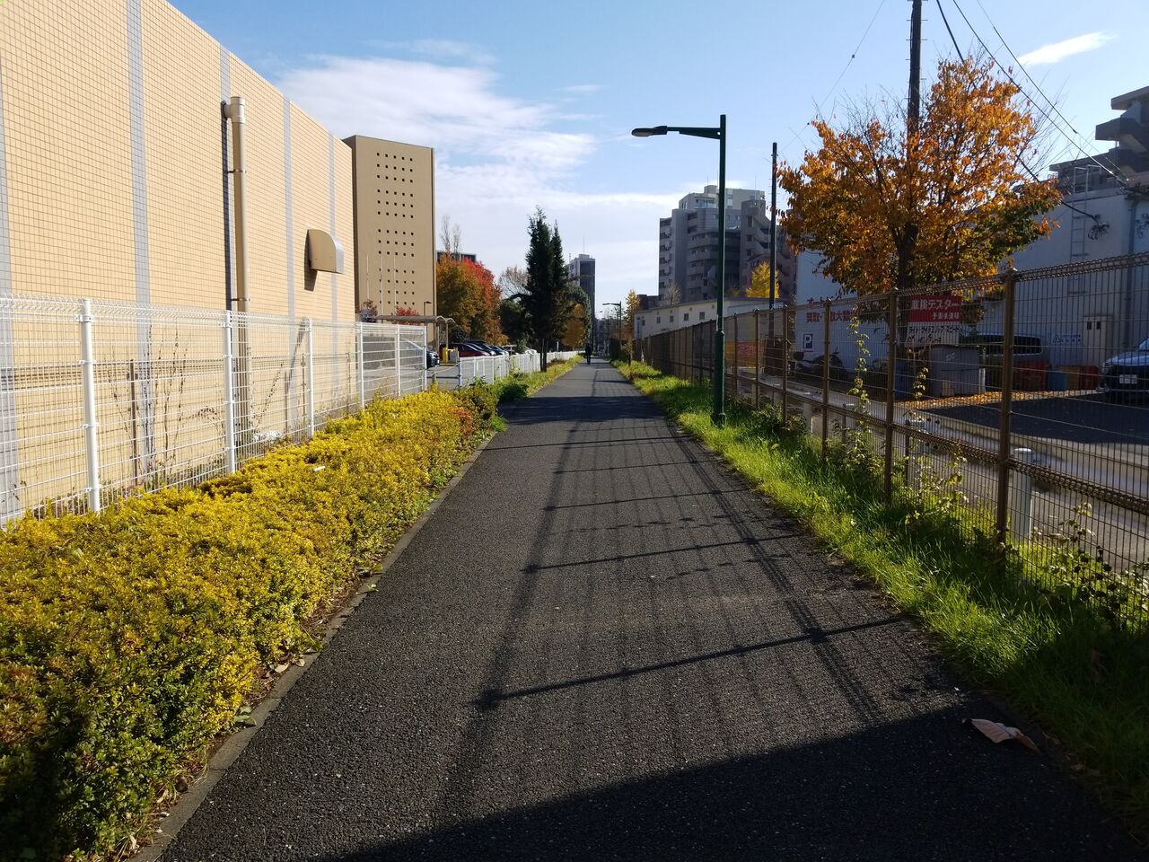 995. 朝日町緑道(東京都府中市朝日町三丁目) 東京公園行ってみる 995. 朝日町緑道(東京都府中市朝日町三丁目) 東京公園行ってみる