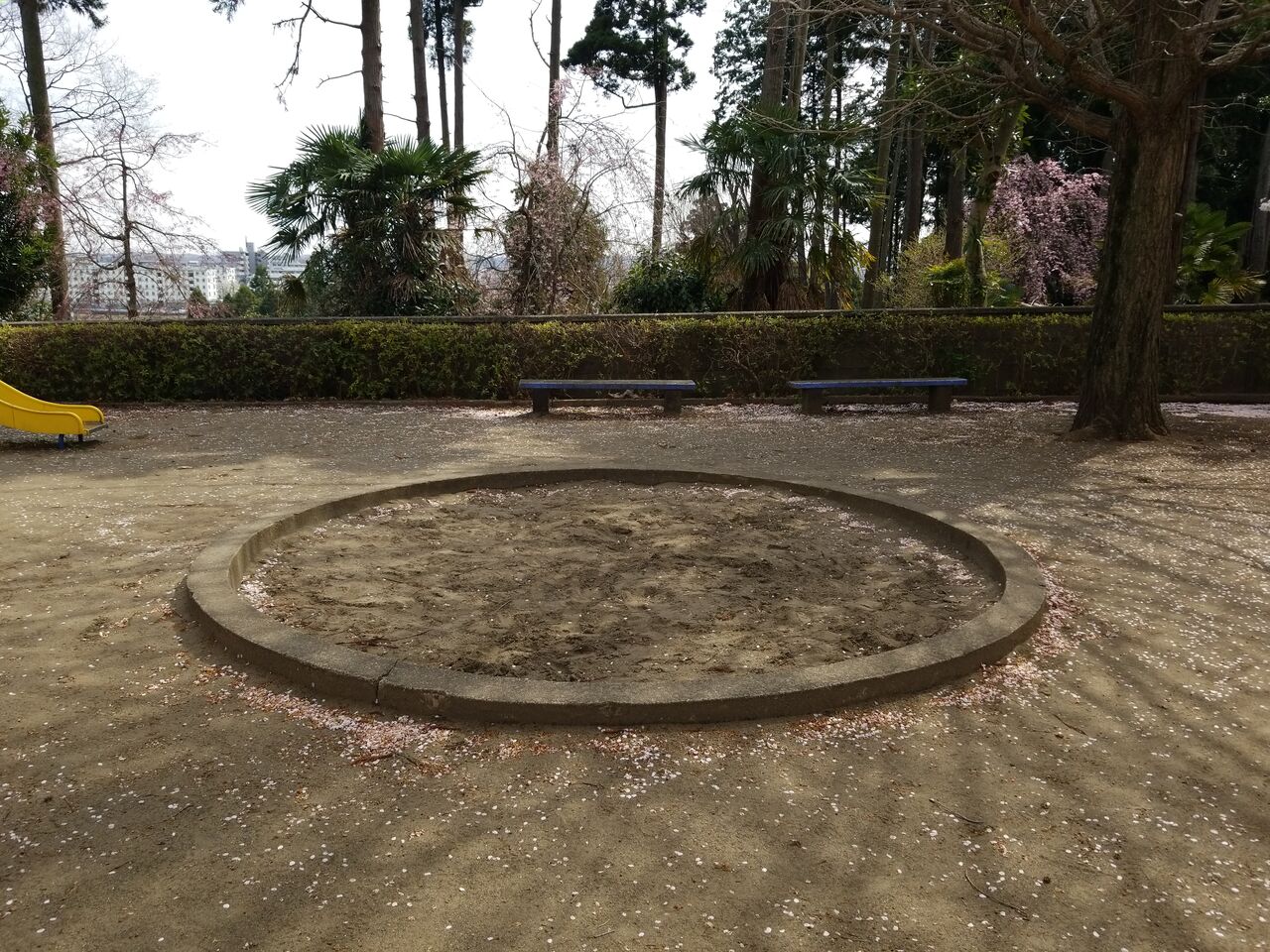 1364. 朝日ケ丘竹公園(東京都八王子市散田町二丁目) 東京都を中心とした公園巡り 1364. 朝日ケ丘竹公園(東京都八王子市散田町二丁目) 東京都を中心とした公園巡り