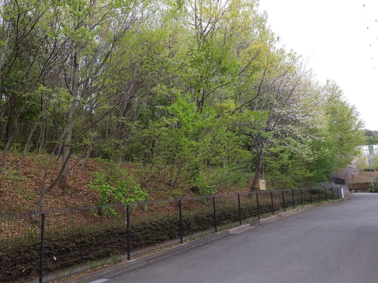 2611. 小山ケ丘2号緑地(東京都町田市小山ケ丘五丁目) 東京都を中心とした公園巡り 2611. 小山ケ丘2号緑地(東京都町田市小山ケ丘五丁目) 東京都を中心とした公園巡り