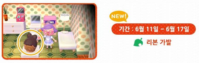 韓国版アイテム配信 とびだせ どうぶつの森 便り