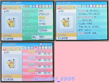 ピカチュウ セレビィ とびだせ どうぶつの森 便り