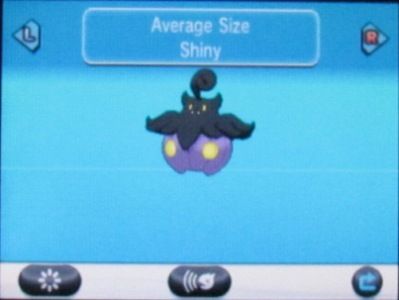 ポケモン 色違い 好き ポケモン 色違い 好き