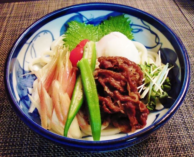 今シーズン初 ぶかっけ冷やしうどん 水は方円の器に随う 今シーズン初 ぶかっけ冷やしうどん 水は方円の器に随う