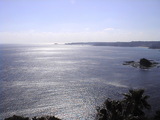 海