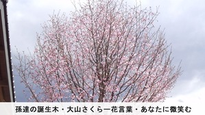 DCIM0558