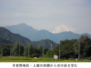 上組の田んぼ