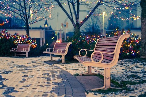 クリスマス 3つのベンチの公園 2015.12.15