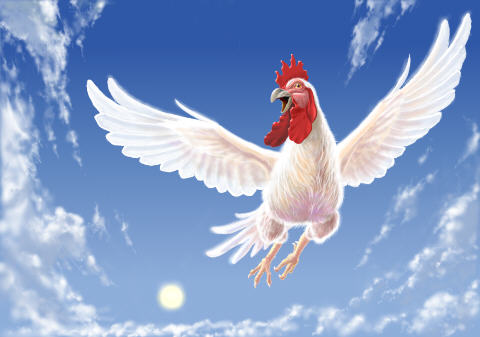 飛ぶニワトリ