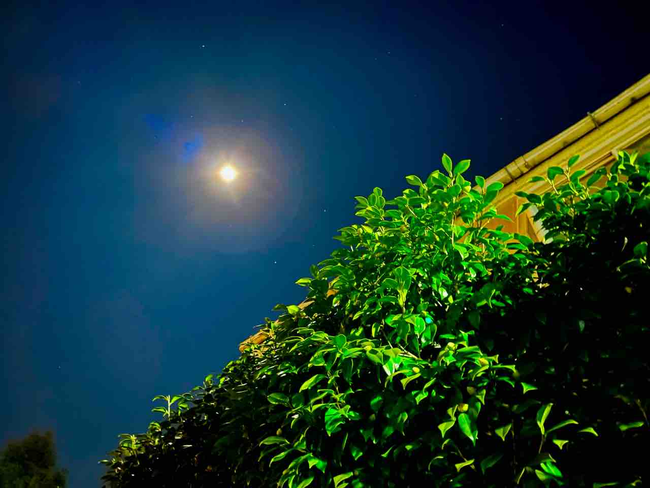 22年2月17日 大安 満月 スノームーン ミナキーの洒落と歌の日々 22年2月17日 大安 満月 スノームーン ミナキーの洒落と歌の日々