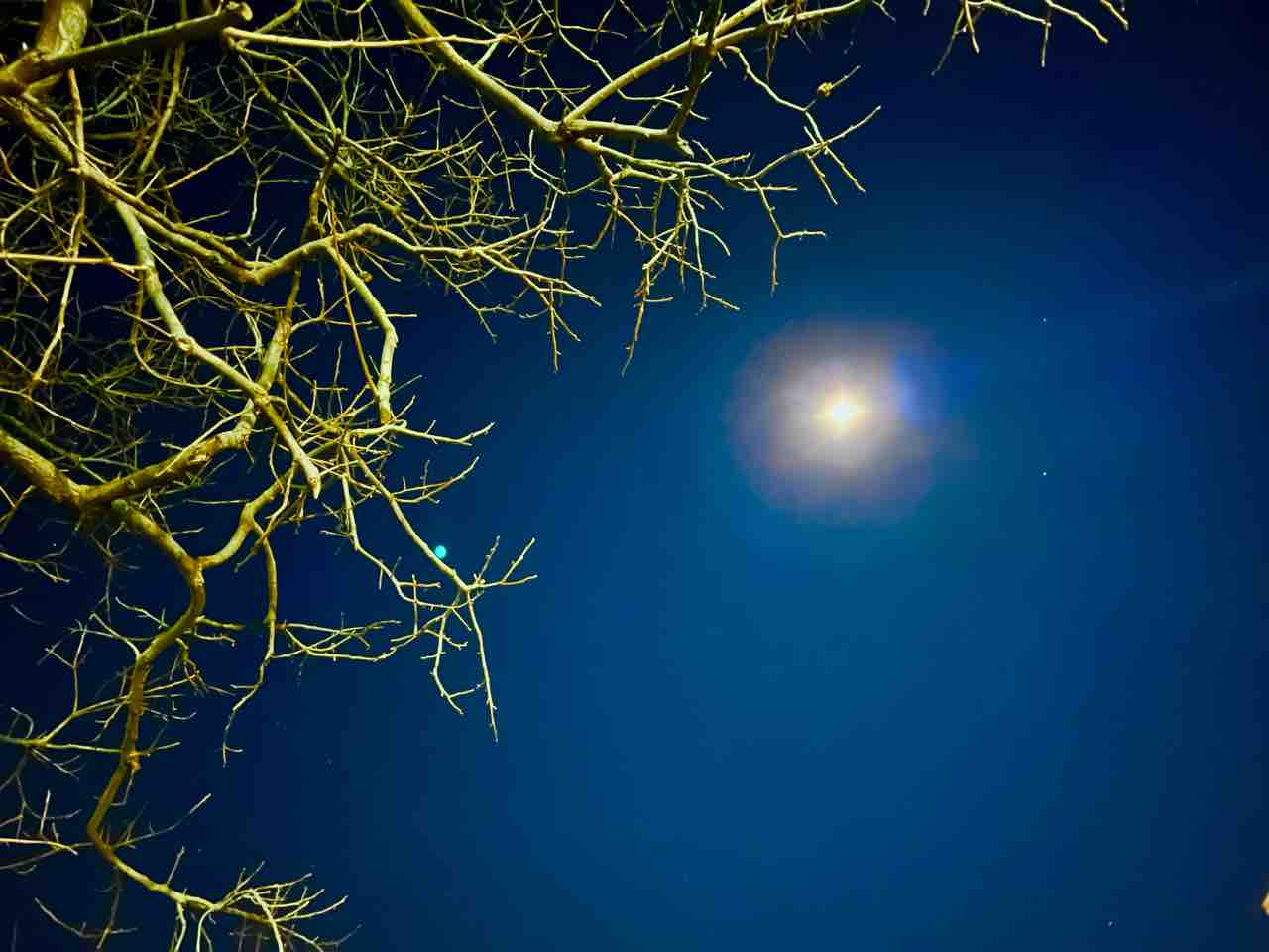 22年2月17日 大安 満月 スノームーン ミナキーの洒落と歌の日々 22年2月17日 大安 満月 スノームーン ミナキーの洒落と歌の日々