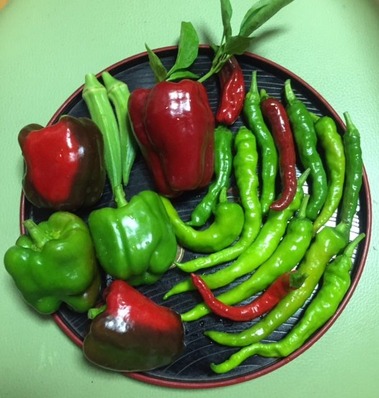 726f4f46.jpg