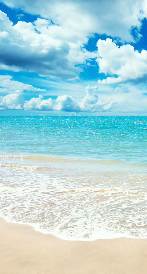 いづみ様 新作 凪の海 美しい波の海 Www Vetrepro Fr