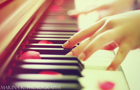 ピアノを弾いてる手と赤い花びら