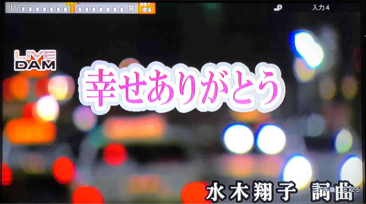 あっという間の人生と思える幸せありがとう ミナキーの洒落と歌の日々