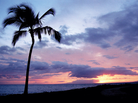 ハワイの黄昏２０１５０６０１