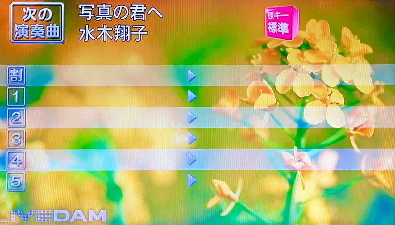 本日3月16日 さよならはまだよ のカップリング曲 写真の君へ が通信カラオケdamに配信されました ミナキーの洒落と歌の日々