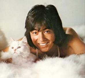 沢田研二 猫と