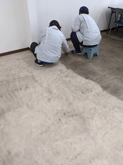 PXL_20220812_012319486.MP