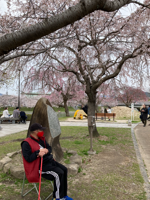 mosaic_20240415142326