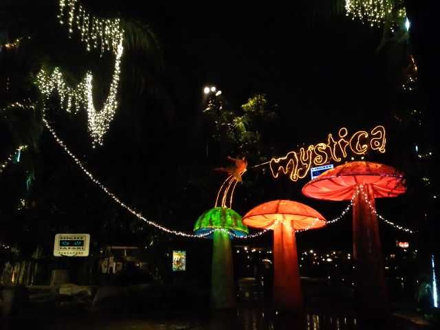 ナイトサファリ 横井利明オフィシャルブログ 名古屋市会