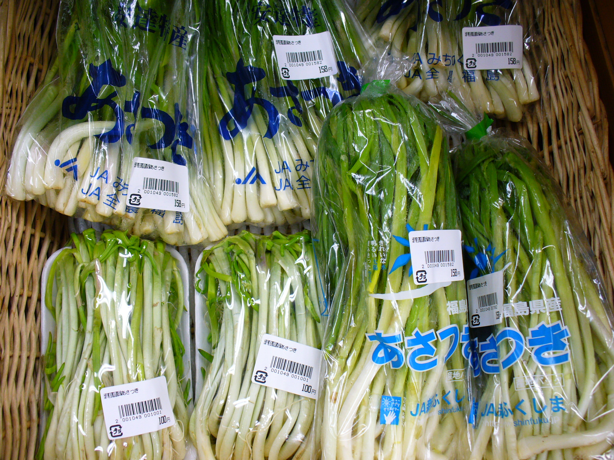 あさつき 浅葱 南会津の輪