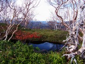 s-23������