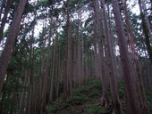 s-08����������