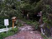 s-05����ë���л���