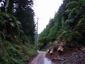 s-02����������