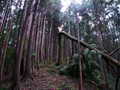 s-07����������