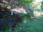 s-08����ķ������դ�