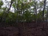 s-09����������