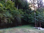 s-07������ʬ��