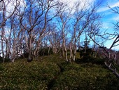 s-22���޿���������