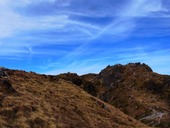 s-14����ĺ����