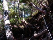 s-02������ƽ��