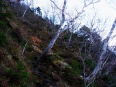 s-04����������