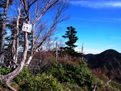 s-06��������