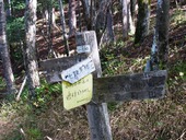 s-11��Ĺ�����ǹ�ή