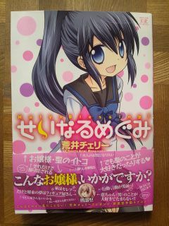 せいなるめぐみ 2巻 みなめも せいなるめぐみ 2巻 みなめも