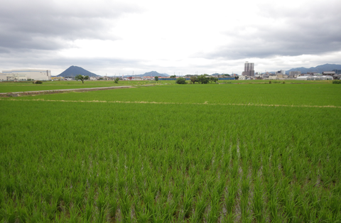 コストコ計画跡地