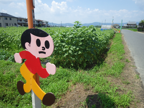 不動浜ひまわりa
