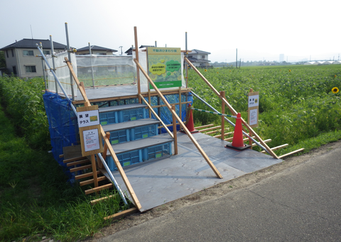 不動浜ひまわりi