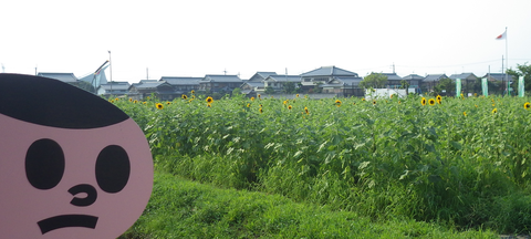 不動浜ひまわりh