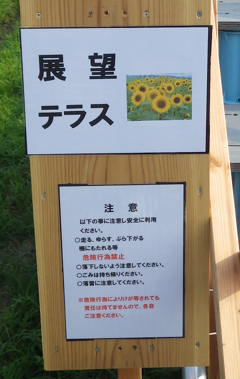不動浜ひまわりk