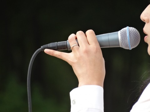 スイッチカラオケマイクオススメホリ