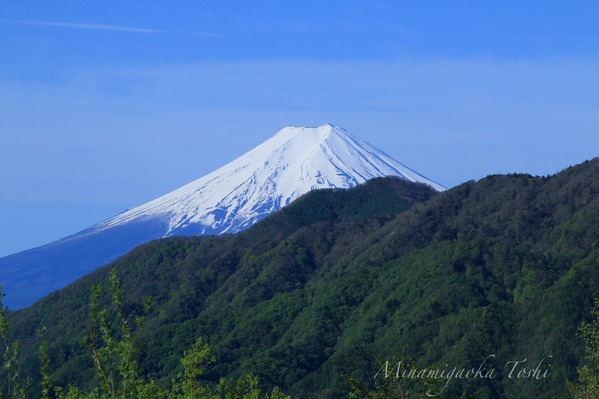 IMG_7464