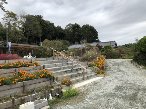 1255F475-BBE2-4D1D-809E-941B5DB5604B